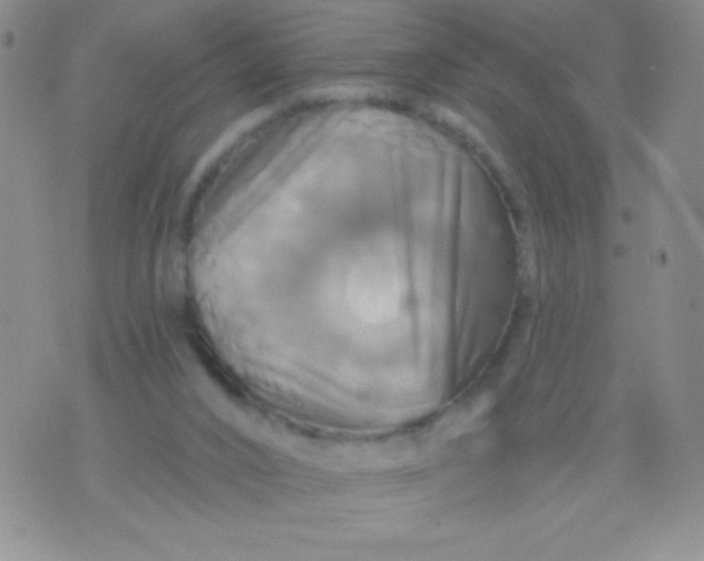 X0000075900016200610062129