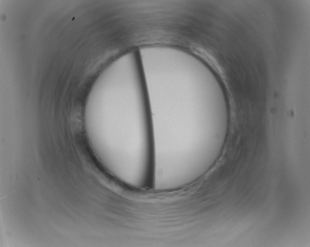 X0000075900017200610062129