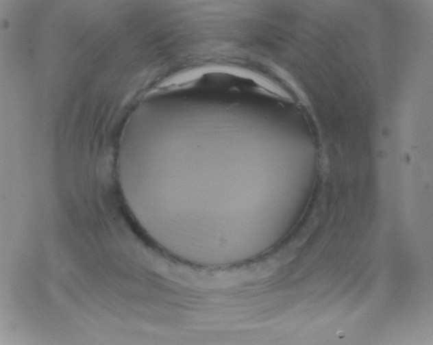 X0000075900018200610062129