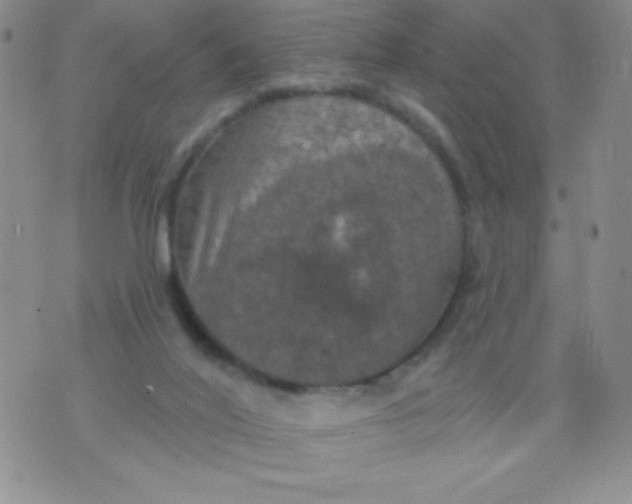 X0000075900020200610062129