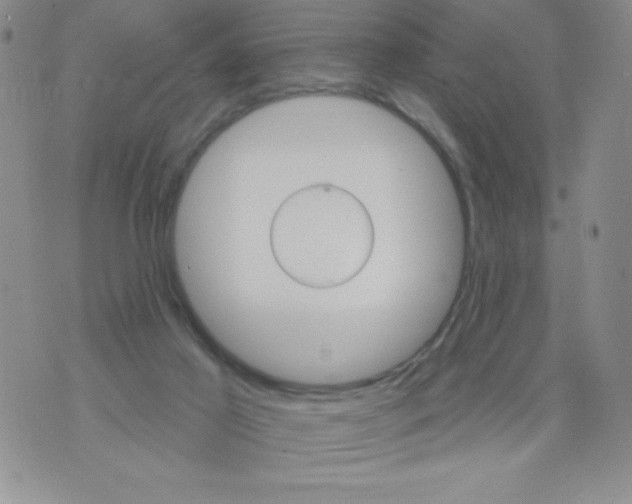 X0000075900021200610062129