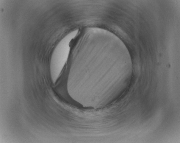 X0000075900022200610062129