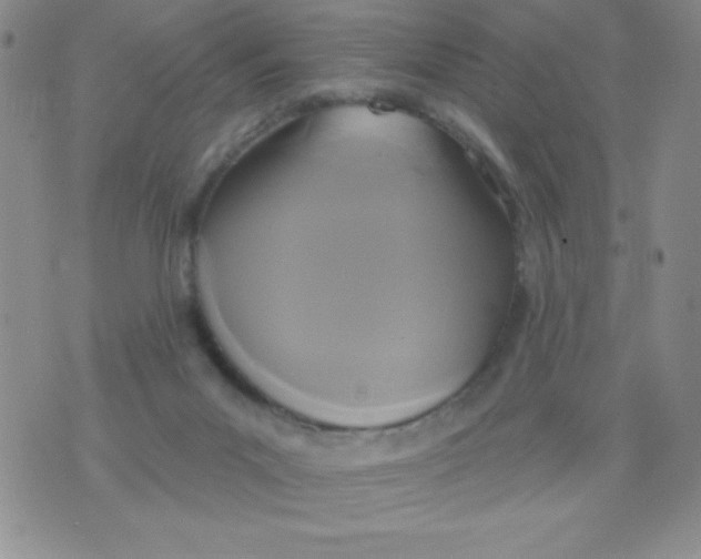 X0000075900023200610062129