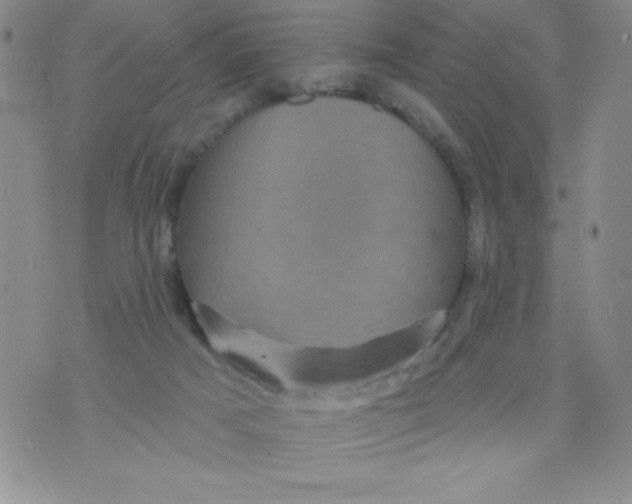 X0000075900025200610062129