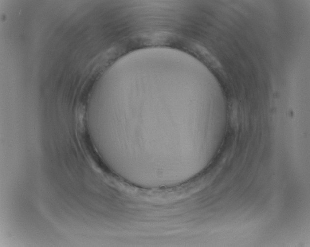 X0000075900026200610062129