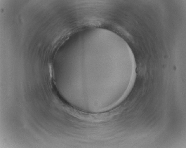 X0000075900027200610062129