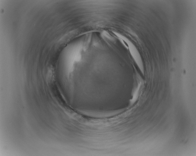 X0000075900029200610062129