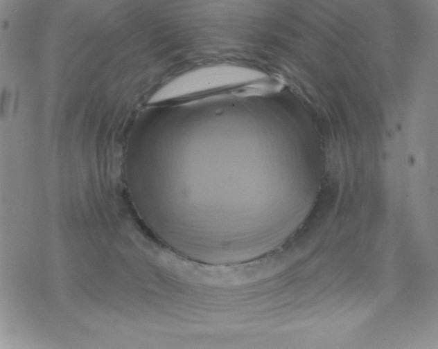 X0000075900030200610062129