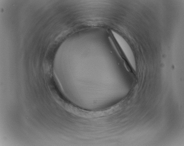 X0000075900031200610062129