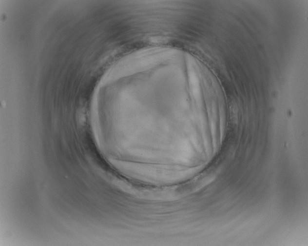 X0000075900032200610062129