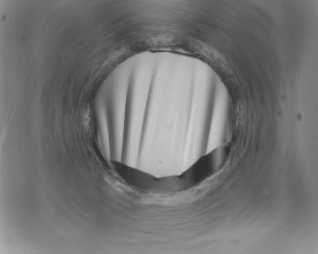 X0000075900033200610062129