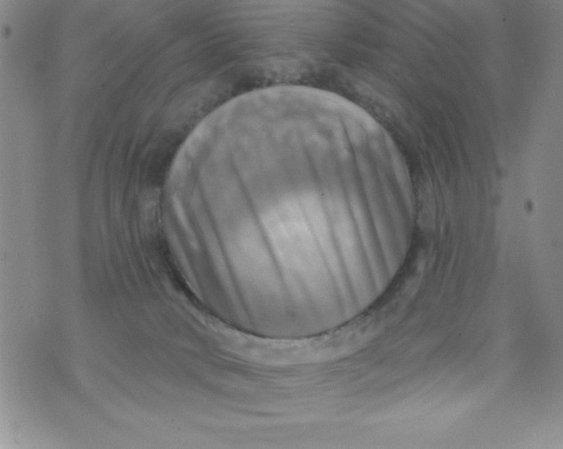 X0000075900034200610062129