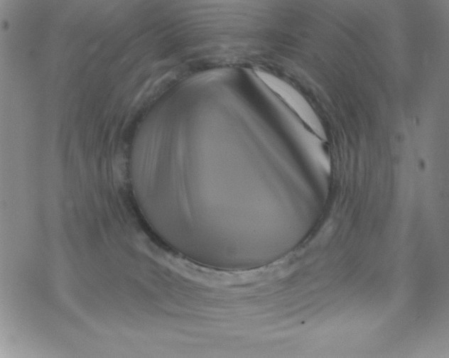 X0000075900035200610062129