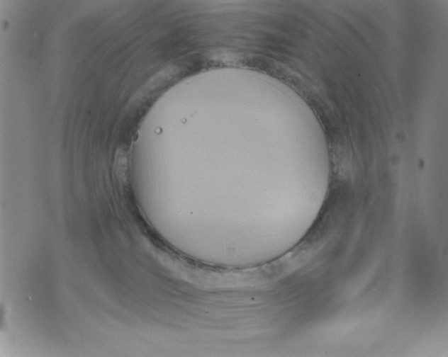 X0000075900036200610062129