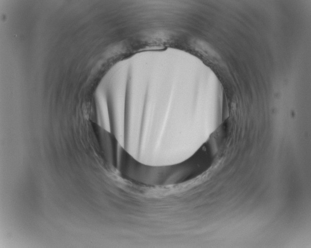 X0000075900037200610062129