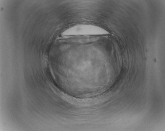 X0000075900038200610062129