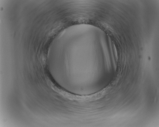 X0000075900039200610062129