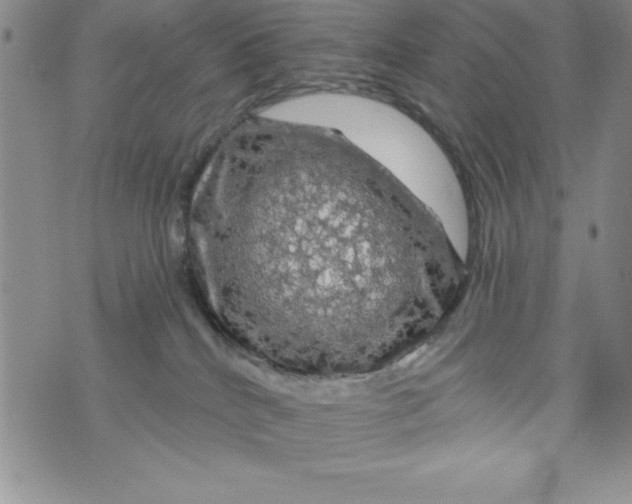 X0000075900040200610062129