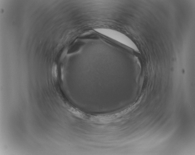 X0000075900041200610062129