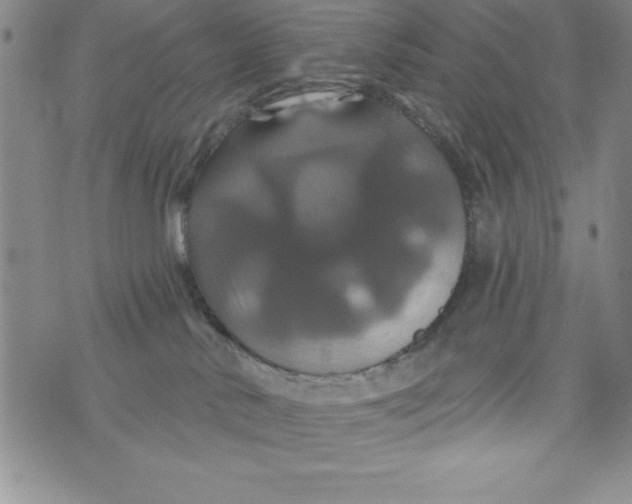 X0000075900042200610062129