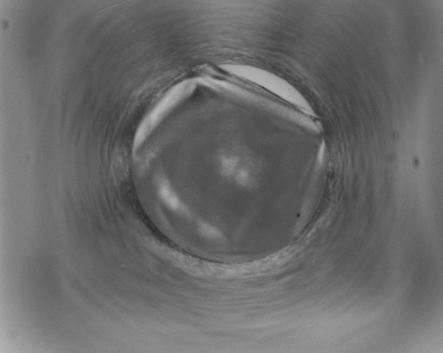 X0000075900043200610062129