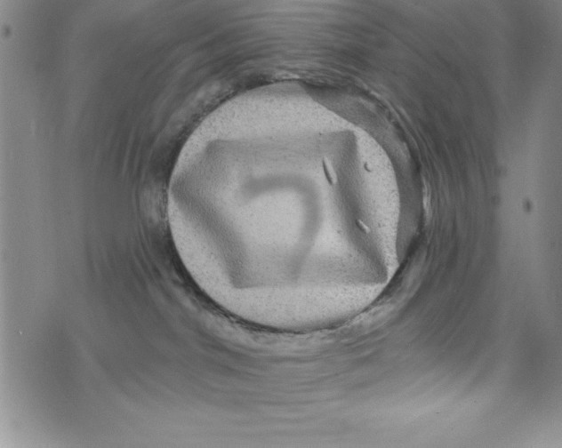 X0000075900044200610062129