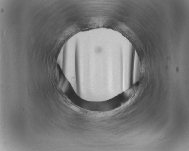 X0000075900045200610062129