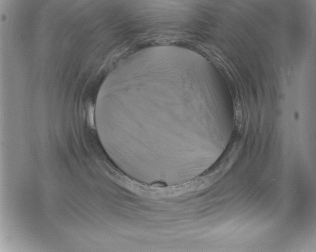 X0000075900046200610062129