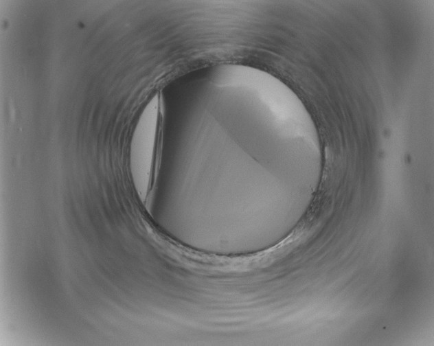 X0000075900048200610062128