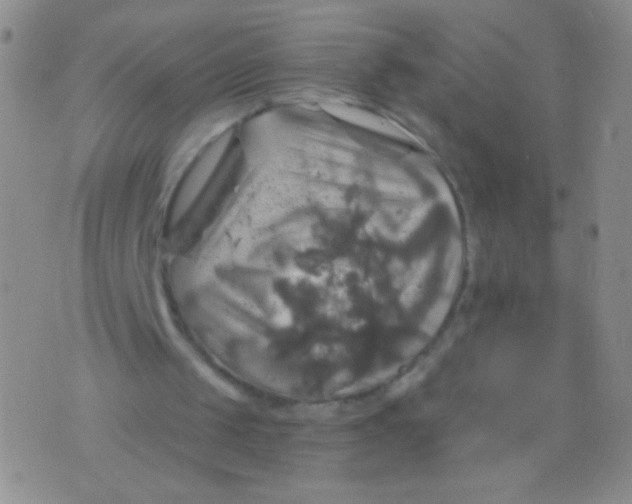 X0000075900049200610062128