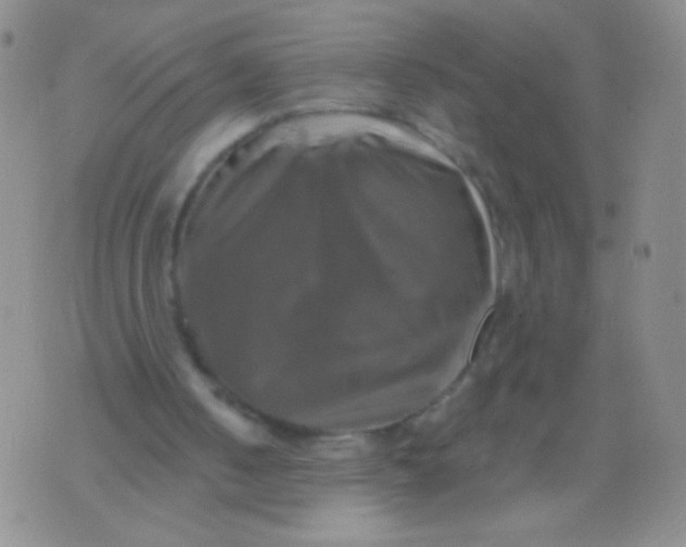 X0000075900050200610062128