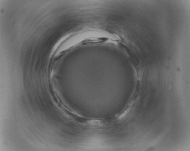 X0000075900052200610062128