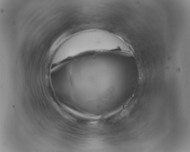 X0000075900053200610062128