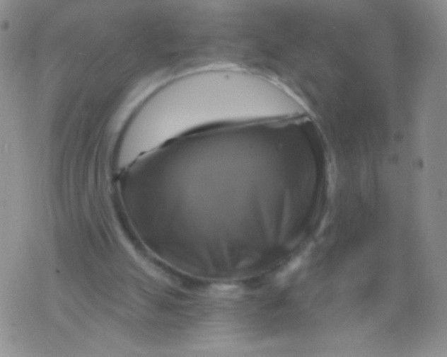 X0000075900055200610062128