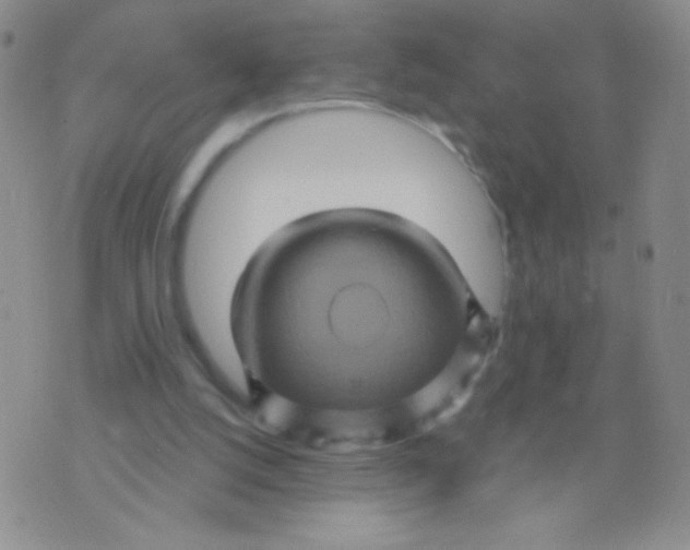 X0000075900056200610062128