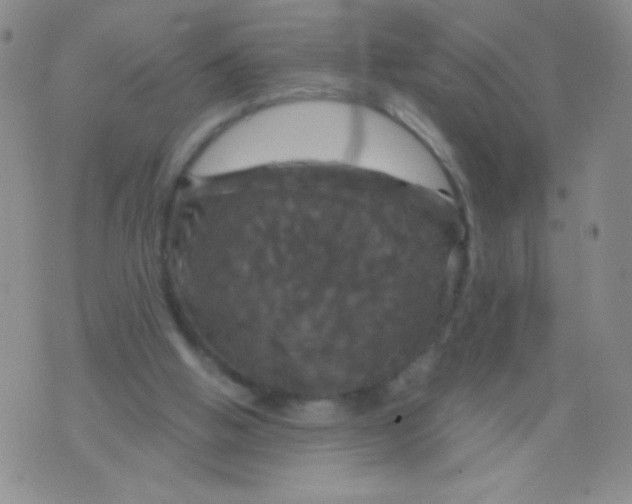 X0000075900058200610062128