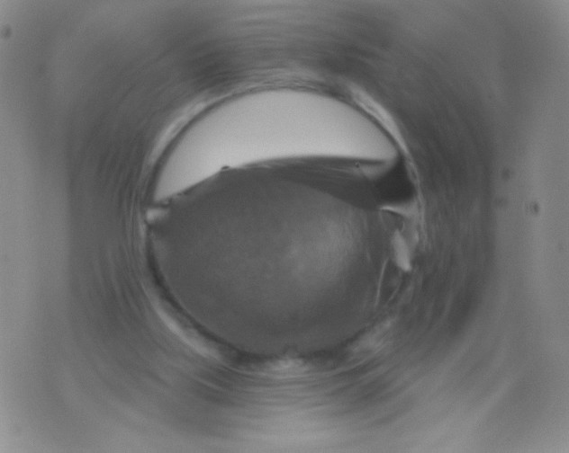 X0000075900059200610062128