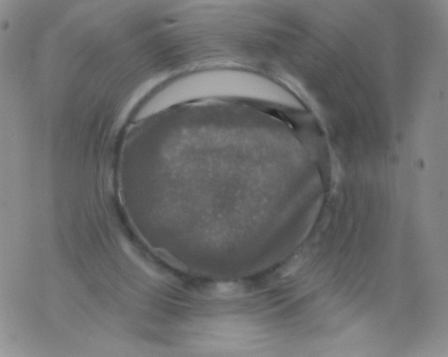 X0000075900060200610062128