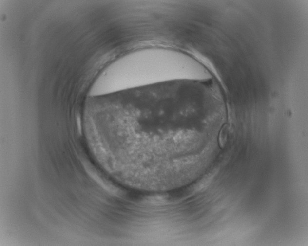 X0000075900061200610062128