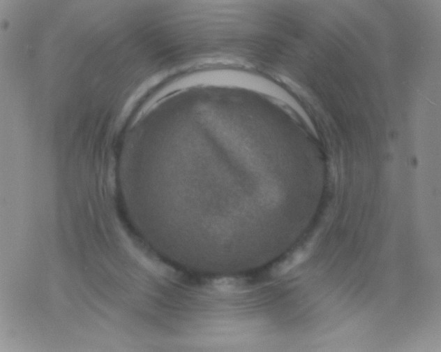 X0000075900064200610062128