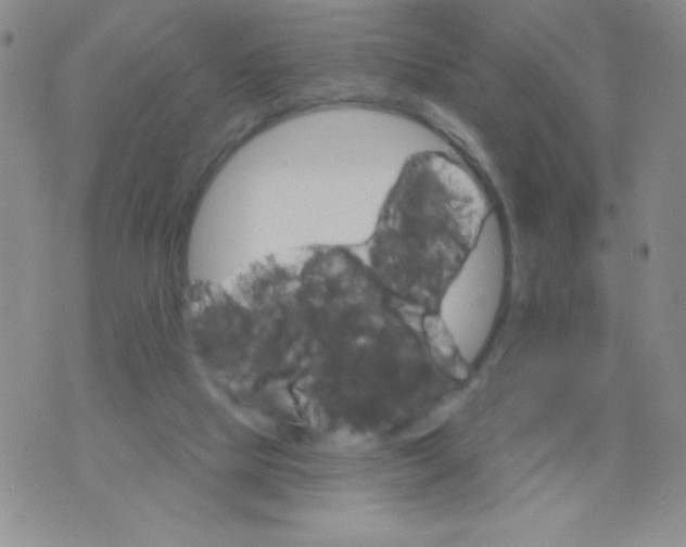 X0000075900065200610062128