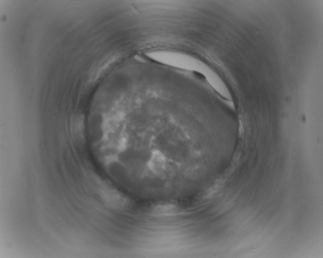 X0000075900066200610062128