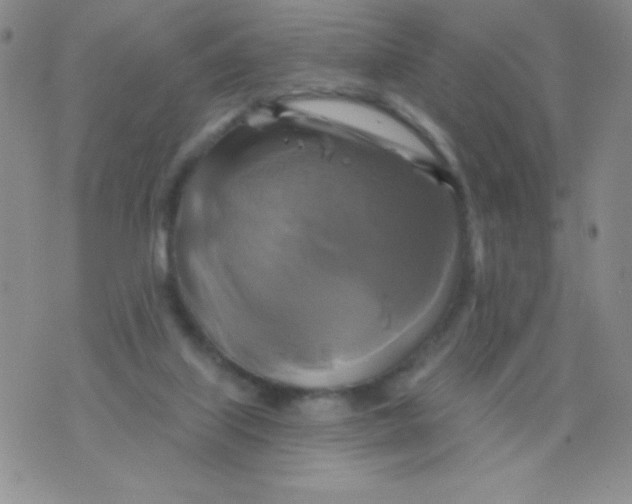 X0000075900067200610062128