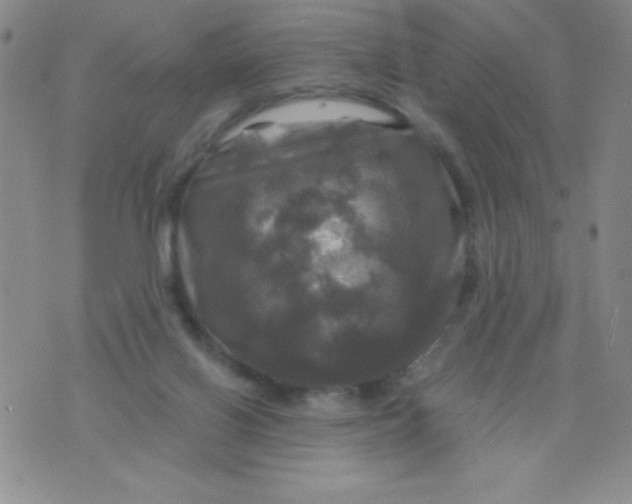 X0000075900070200610062128