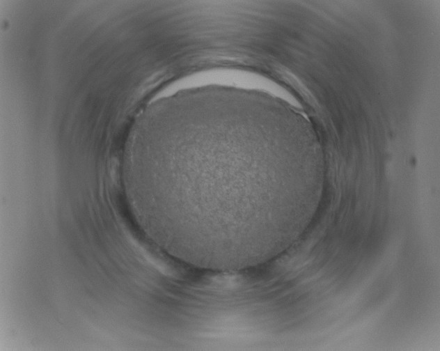 X0000075900071200610062128