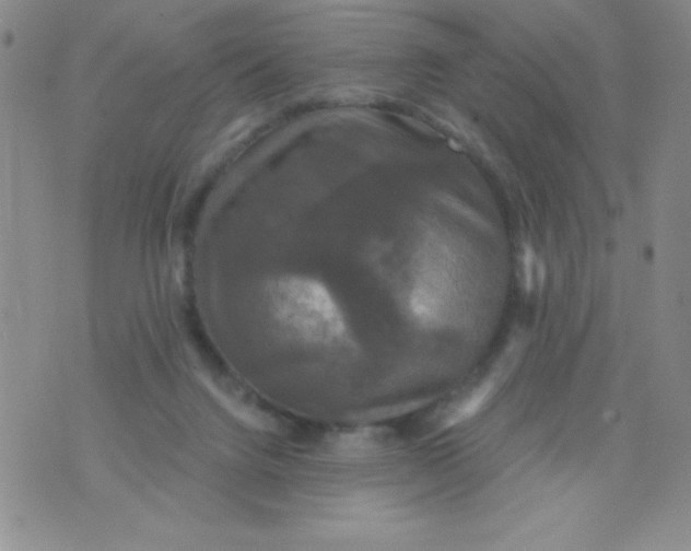 X0000075900072200610062128