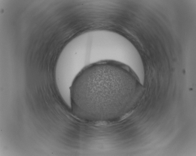 X0000075900075200610062128