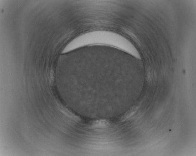 X0000075900077200610062128