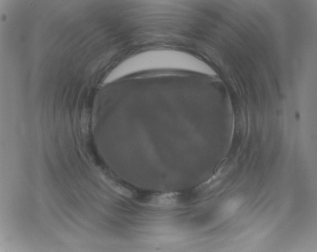 X0000075900078200610062128