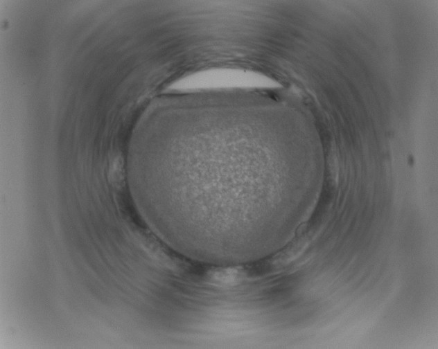 X0000075900079200610062128